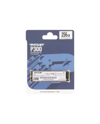 P300 2280 256GB SATA