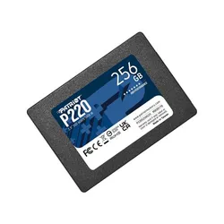 P220 256GB SATA