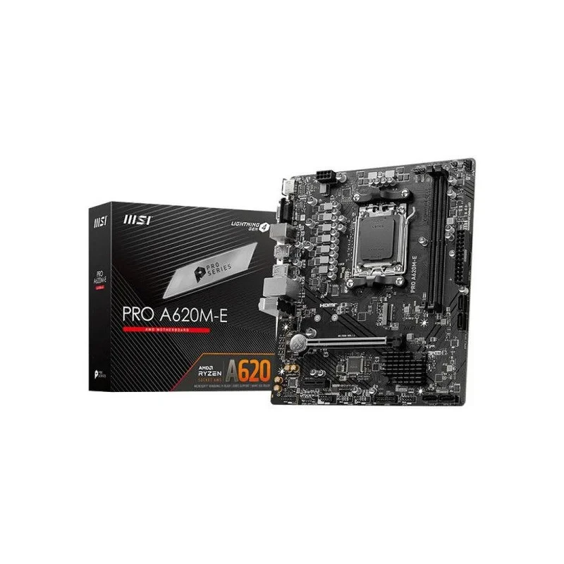 Pro A620M-E