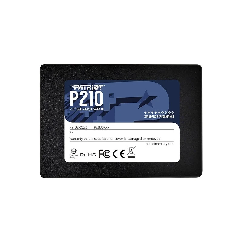 P210 256GB SATA