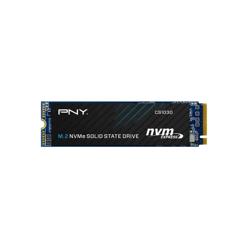 Cs1030 M2 500GB SATA
