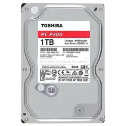 P300 1TB SATA